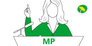 Dumma väljare och dumma politiker